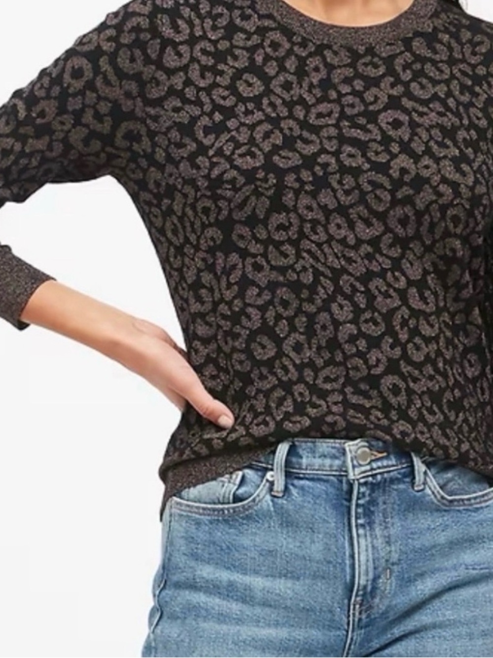 Banana Republic Black and Metallic Brown Leopard Knit Sweater